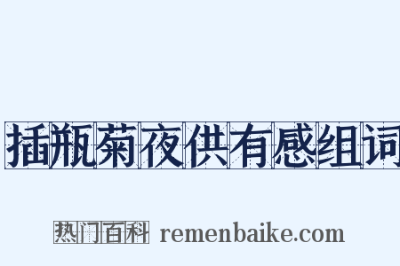 插瓶菊夜供有感组词是什么意思的图片